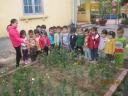IMG_4401_.jpg - 
