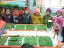 Anh 5 - 