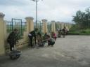 trong cay a.jpg - 