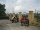 trong cay b.jpg - 
